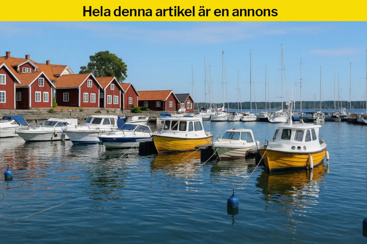 Upplevelser i Roslagen för kompisgänget – tips för både dag och kväll