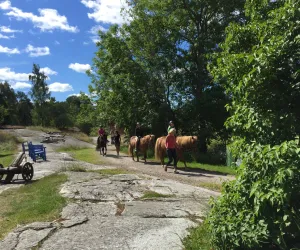 Aktivitet Österåker
