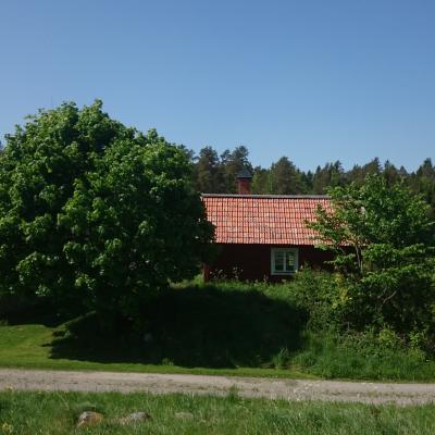 Hus vid Risön