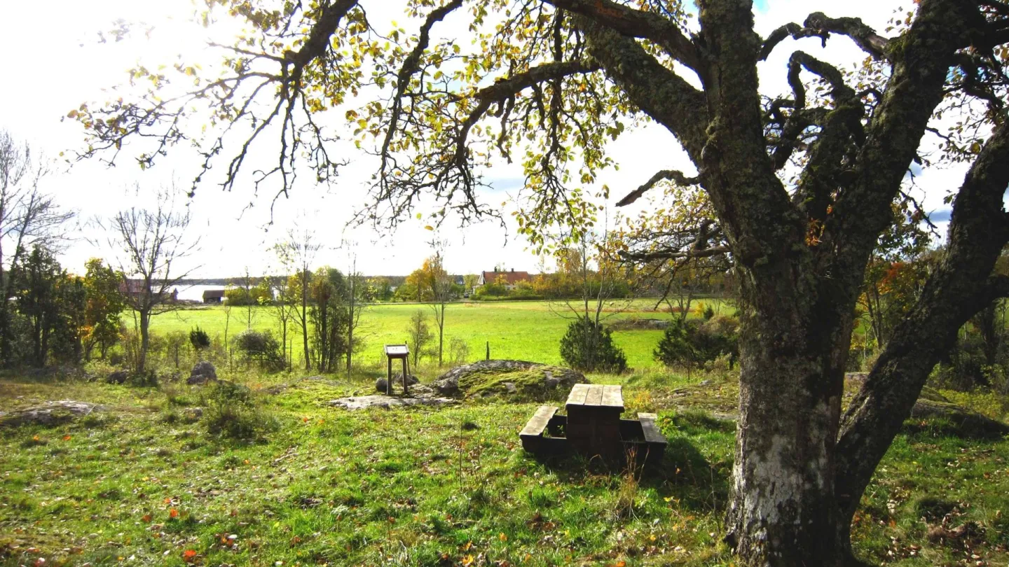 Gräsö gård naturreservat | Visit Roslagen
