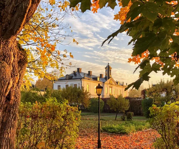 Vit herrgård mellan gröna och gula blad