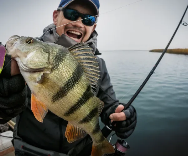 Fiskare med solglasögen med stor abborre på kroken