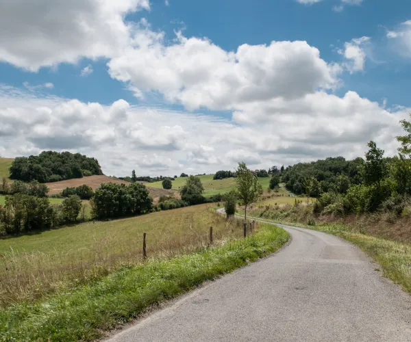 Asfalterad landsväg på landsbygden med gröna ängar och hagar. Blå himmel med stora vita moln.