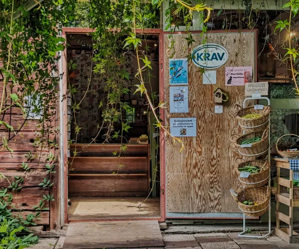 Ingång till gårdsbutik i en lada med nyskördade grönsaker i ett ställ utanför dörren