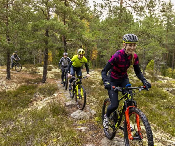 Cyklister i skogen