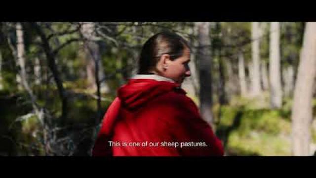Youtube video image